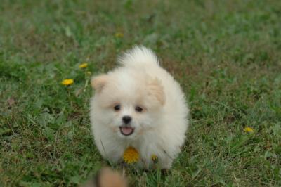 Oct18_05_176.JPG