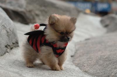 Oct18a_05_050.JPG