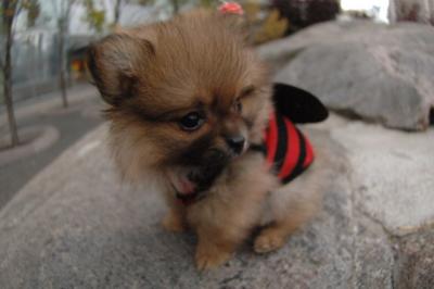 Oct18a_05_057.JPG