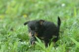 July13a_05_074.JPG