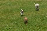 July13b_05_032.JPG