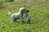 July13b_05_146.JPG
