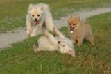 July17_05_071.JPG