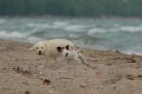July18a_05_1137.JPG