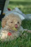 Aug24_05_091.JPG