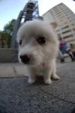 Sept15_05_098.JPG