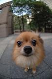 Sept15_05_107.JPG