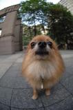 Sept15_05_108.JPG