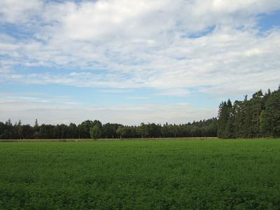 DSCF1179.jpg