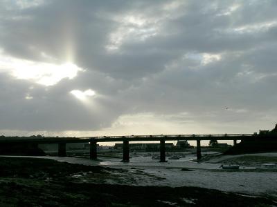 DSCN5549.jpg