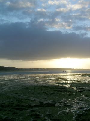 DSCN5553.jpg