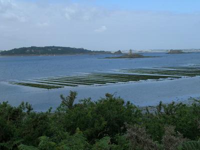 DSCN5554.jpg