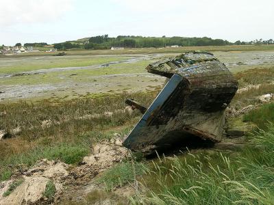DSCN5557.jpg