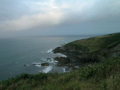 DSCN5567.jpg