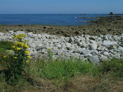 DSCN5574.jpg