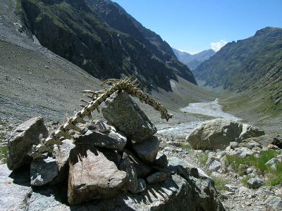 Redescente dans le vallon du Diable