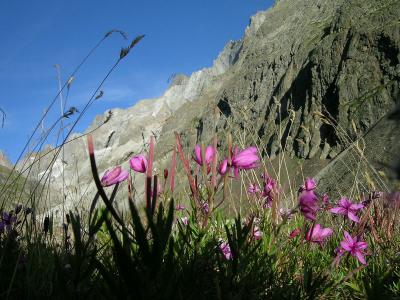 Vallon du Diable