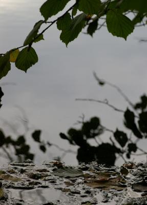 IMGP0951.jpg