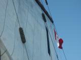 Bluenose016.jpg