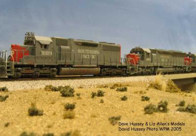 Models on the Free-Mo Layout