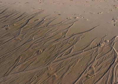 Signs of water or foot prints on Mars