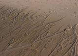 Signs of water or foot prints on Mars