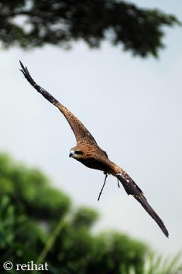 DSC_8281.jpg