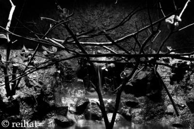 v3/13/388313/3/50172649.zooDSC_8583.jpg