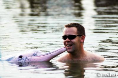 Kiss from a Dolphin