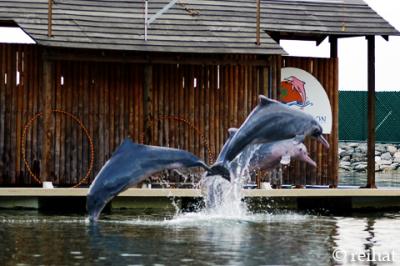 DSC_9041.jpg
