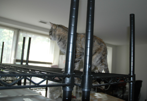 Where she wants to be