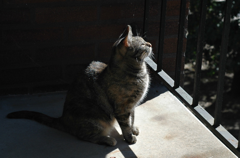 Enjoying the porch