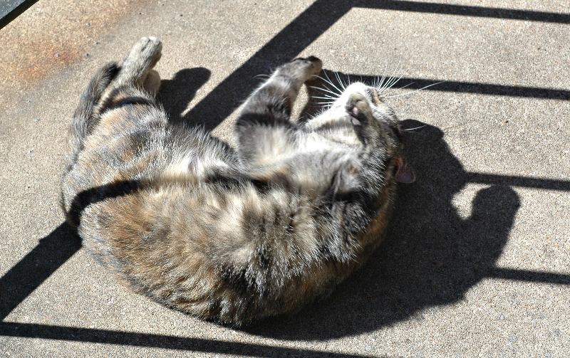 Doing her favorite porch thing