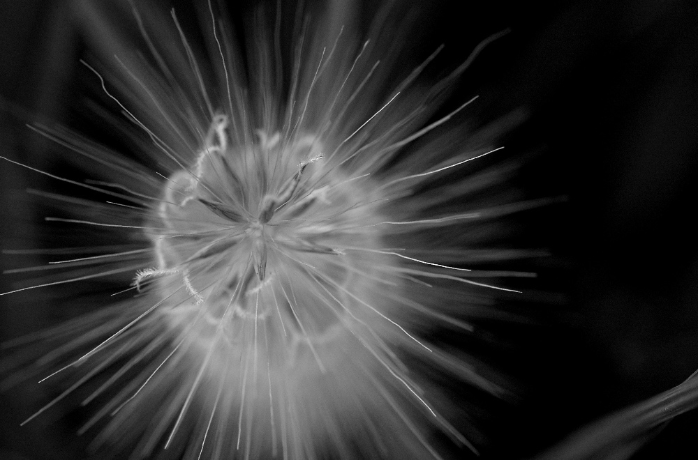 Spirograph
