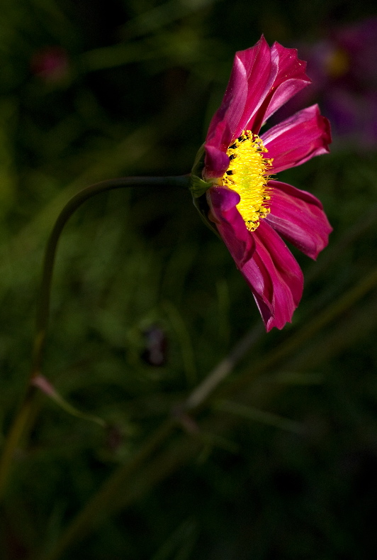 DSC_3790.jpg