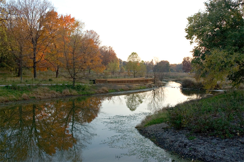 Reflections IV
