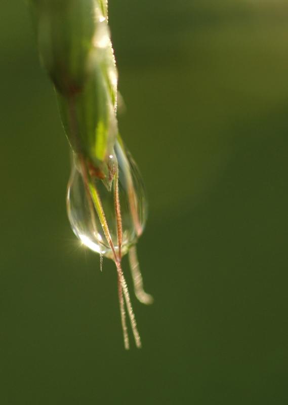 DSC_8052.jpg