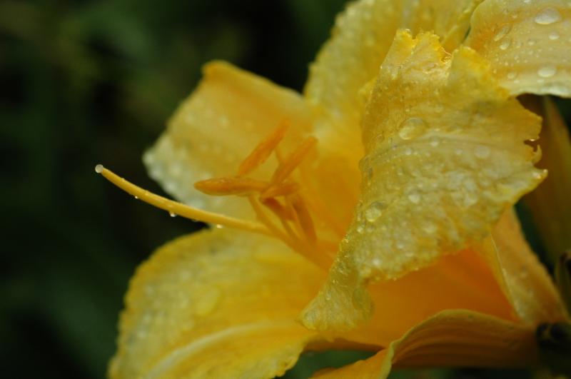 DSC_8061.jpg
