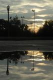 Puddle sunset