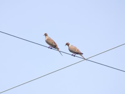 1234 - Day 1Watchful Parents