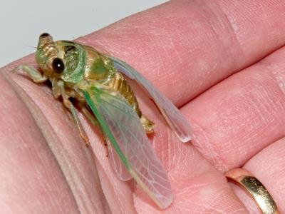 CRW_3140.jpg