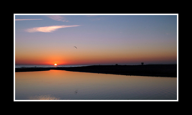 DSC_8394.jpg