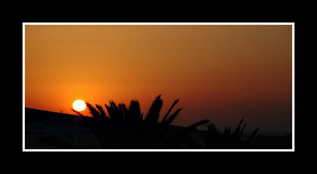 DSC_8430.jpg