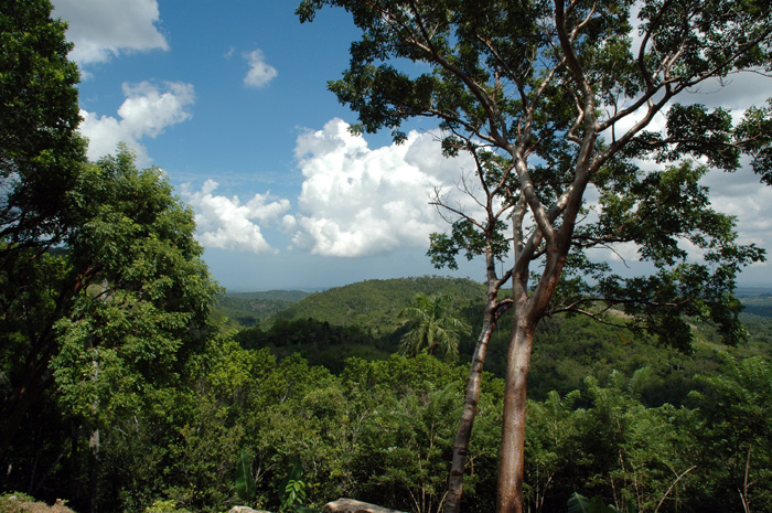 Las Terrazas