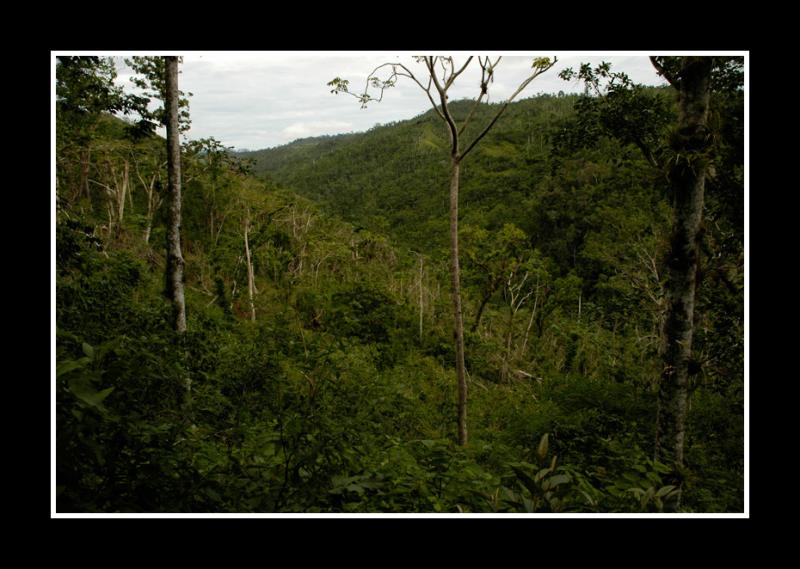 Topes de Collantes