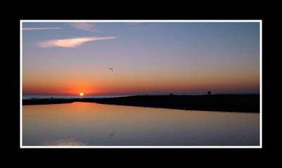 DSC_8394.jpg