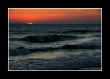DSC_8535.jpg