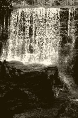 2005-08-17: waterfall curtain (Jul. 24)