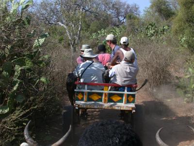 Madagascar - people & places