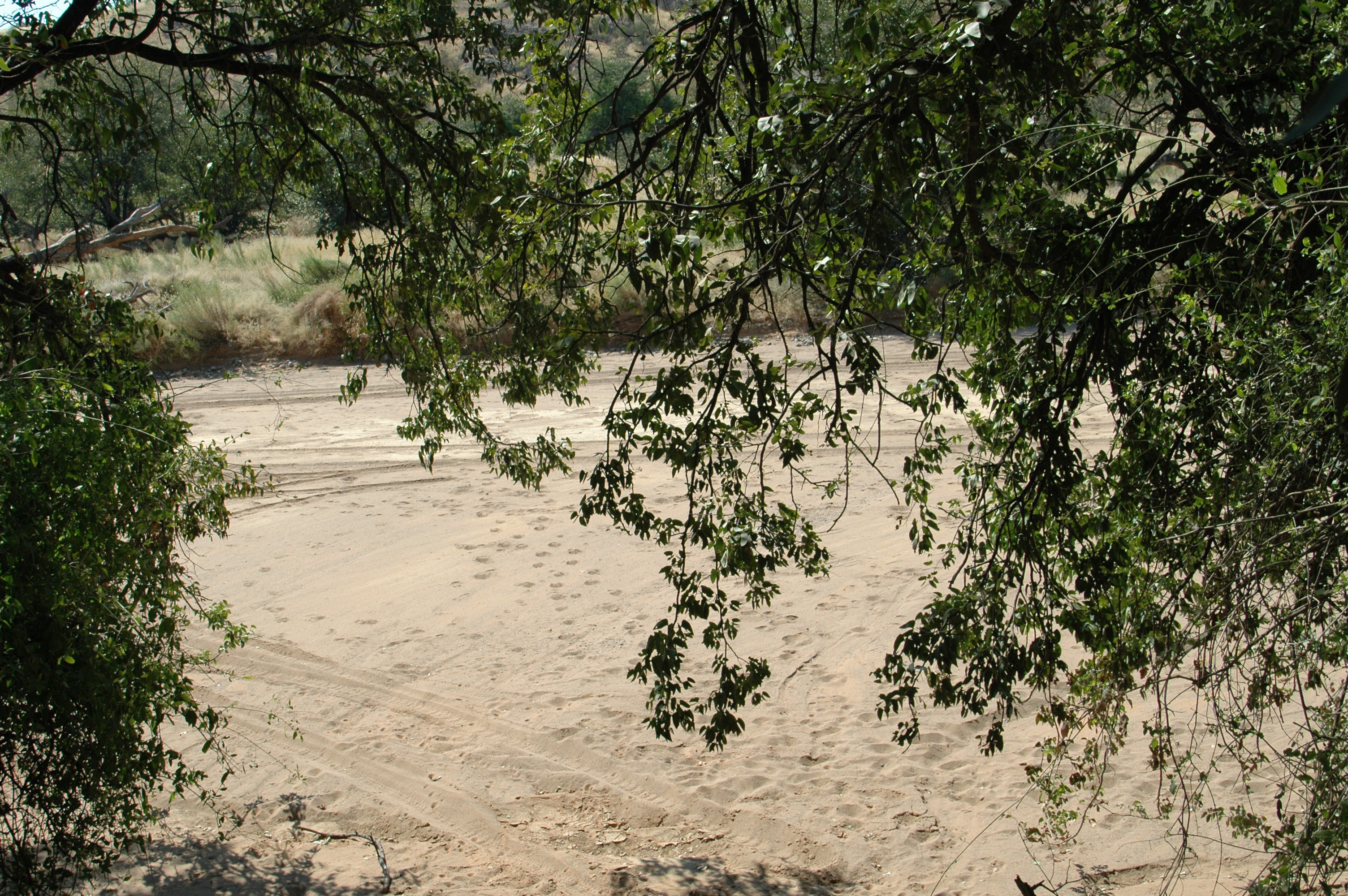 View Across the River from Camp